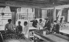 Selecting fruit for canning, 1904. Creator: Frances Benjamin Johnston