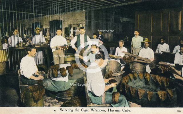 'Selecting the Cigar Wrappers, Havana, Cuba', c1910. Artist: Unknown.