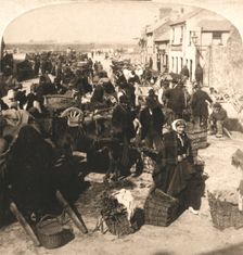 Selling the Irishman's Staff of Life the Potatoe Market, Galway, Ireland 1901. Creator: Works and Sun Sculpture Studios