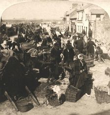 Selling the Irishman's Staff of Life the Potatoe Market, Galway, Ireland 1901. Creator: Works and Sun Sculpture Studios
