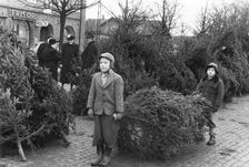 Selling Christmas trees in the square of Trelleborg, Sweden, 1950s