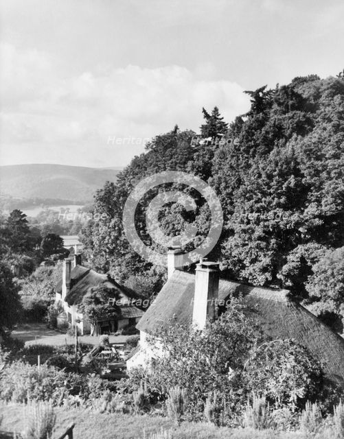 Selworthy, Exmoor, c1955. Creator: Arthur Charles Kirby Ware.