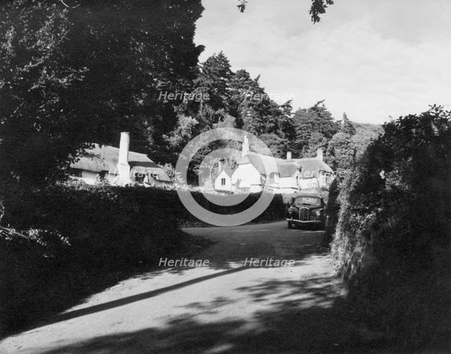 Selworthy, Exmoor, c1955. Creator: Arthur Charles Kirby Ware.