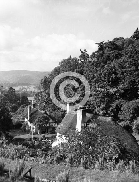 Selworthy, Somerset, c1955. Creator: Arthur Charles Kirby Ware.