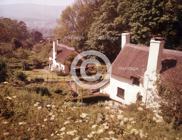 Selworthy, Somerset, c1955. Creator: Arthur Charles Kirby Ware.