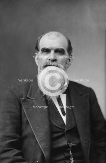 Sen. Richard Coke, Texas, between 1870 and 1880. Creator: Unknown.