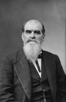 Sen. Richard Coke, Texas, between 1870 and 1880. Creator: Unknown