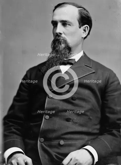 Sen. Riddleberger, VA, between 1870 and 1880. Creator: Unknown.