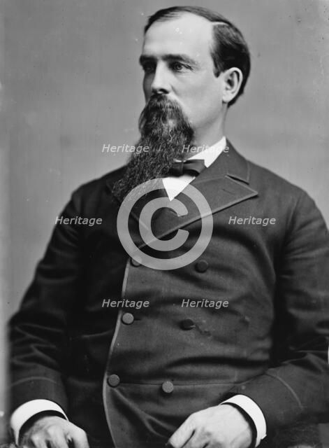 Sen. Riddleberger, VA, between 1870 and 1880. Creator: Unknown.