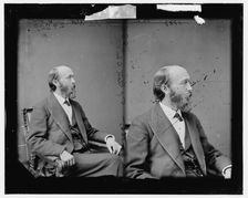 Senator Thomas Collier Platt of New York, 1865-1880. Creator: Unknown