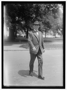 Senator Thomas Taggart, between 1910 and 1917. Creator: Harris & Ewing