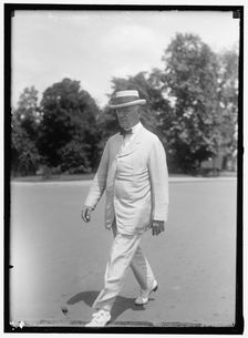 Senator Charles E. Townsend, between 1913 and 1918. Creator: Harris & Ewing