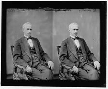 Senator Eli Saulsbury of Delaware, 1865-1880. Creator: Unknown