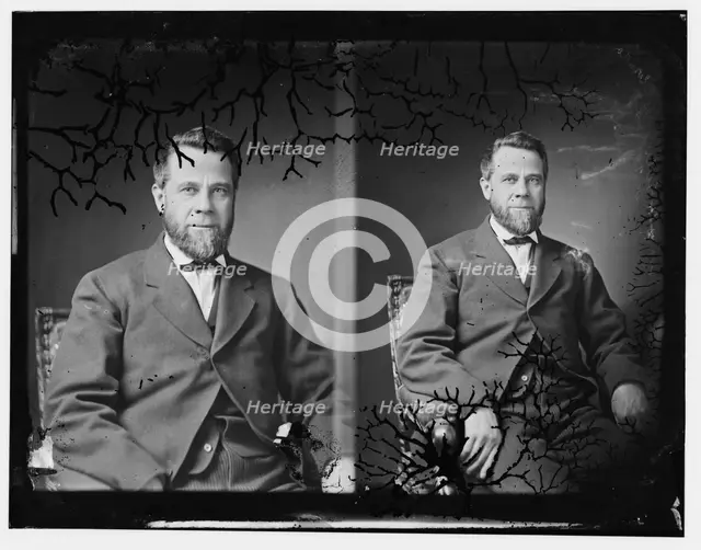 Senator Henry Teller of Colorado, 1865-1880.  Creator: Unknown.