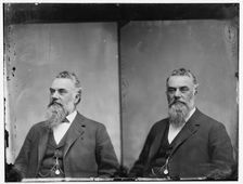 Senator James G. Fair of Nevada, 1865-1880. Creator: Unknown