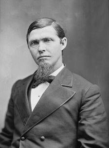 Senator Preston Bierce Plumb of Kansas, 1870-1880. Creator: Unknown