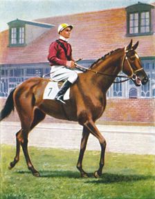 Senor, Jockey: J. Crouch 1939