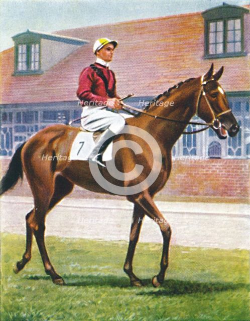 Senor, Jockey: J. Crouch', 1939. Artist: Unknown.