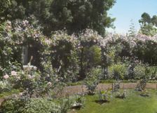 "Senuelo," Edward Ditmars Wetmore house, Fairway Road, Montecito, California, 1917. Creator: Frances Benjamin Johnston