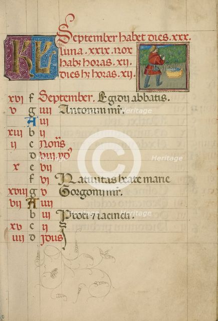 September Calendar Page; Harvesting Grapes; Book of Hours, about 1460. Creator: Unknown.