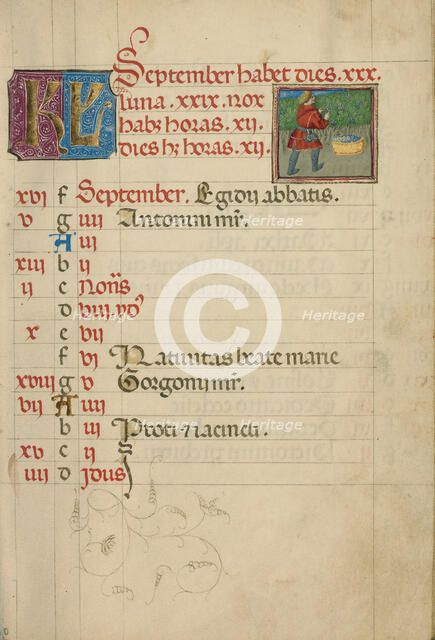 September Calendar Page; Harvesting Grapes; Book of Hours, about 1460. Creator: Unknown.