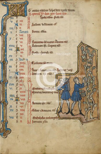 September Calendar Page; Harvesting Grapes; Psalter, mid-1200s. Creator: Unknown.