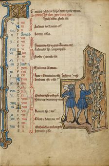 September Calendar Page; Harvesting Grapes; Psalter, mid-1200s. Creator: Unknown