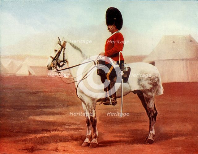 'Sergeant-Major of the 2nd Dragoons. (Royal Scots Greys)', 1900. Creator: Gregory & Co.