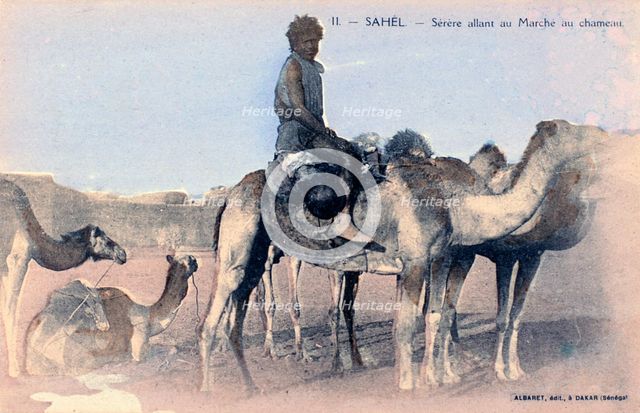 Serere, the Sahel, Senegal, 20th century. Artist: Albaret