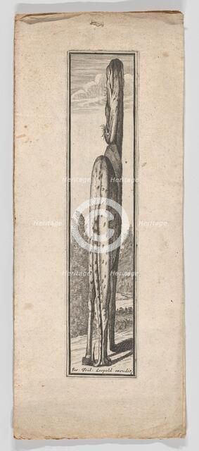 Series of Six Anamorphic Animal Prints, ca. 1700. Creator: Joseph Friedrich Leopold.