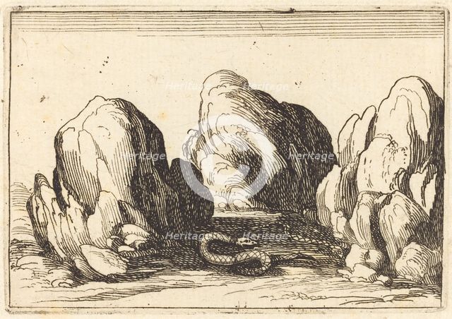 Serpent, 1628. Creator: Jacques Callot.