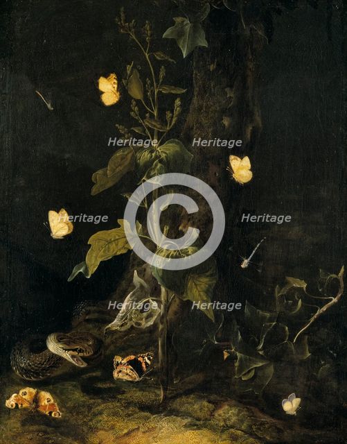 Serpent and Butterflies in the Woods, mid-17th century. Creator: Otto Marseus van Schrieck.