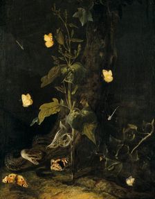 Serpent and Butterflies in the Woods, mid-17th century. Creator: Otto Marseus van Schrieck