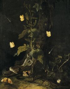 Serpent and Butterflies in the Woods, mid-17th century. Creator: Otto Marseus van Schrieck