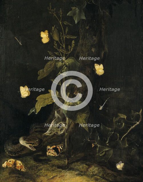Serpent and Butterflies in the Woods, mid-17th century. Creator: Otto Marseus van Schrieck.