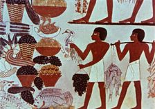 Servants with offerings, fresco in the Tomb of Menna at Sheikh Abd el-Qurna
