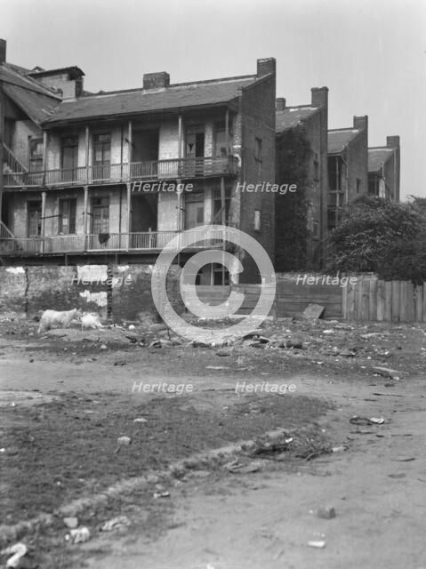 Service wings, New Orleans, between 1920 and 1926. Creator: Arnold Genthe.