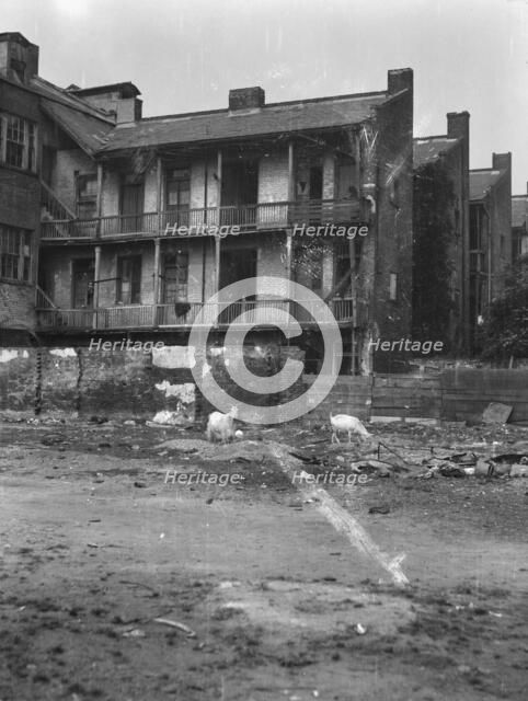 Service wings, New Orleans, between 1920 and 1926. Creator: Arnold Genthe.