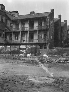 Service wings, New Orleans, between 1920 and 1926. Creator: Arnold Genthe