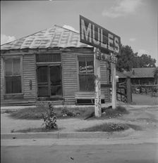 Services for Negroes in a Mississippi Delta town, Leland, Mississippi, 1937. Creator: Dorothea Lange