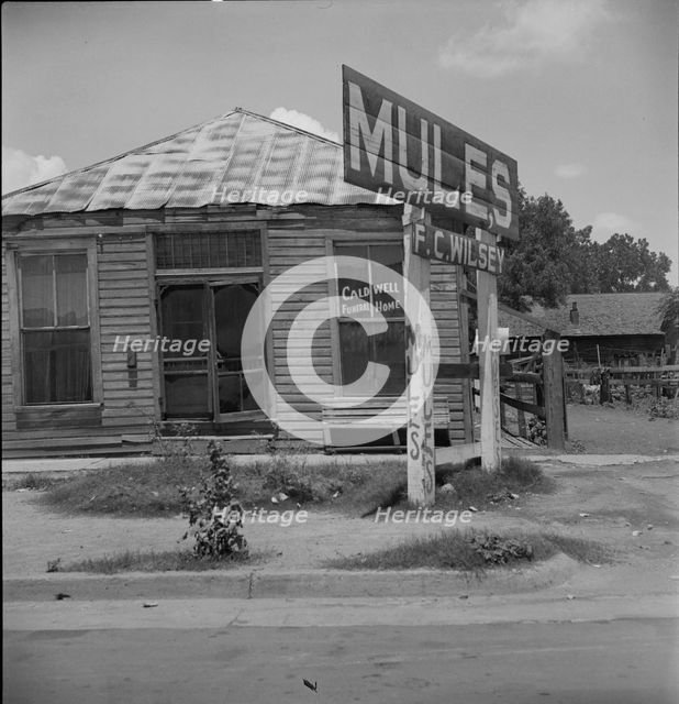 Services for Negroes in a Mississippi Delta town, Leland, Mississippi, 1937. Creator: Dorothea Lange.