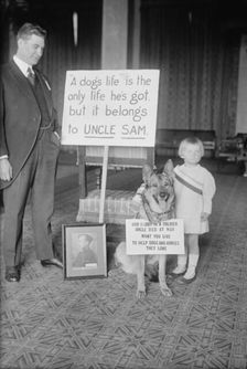 S.H. Herron, "Rex", Jane Bradford, between c1915 and c1920. Creator: Bain News Service