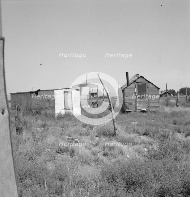 Shack for potato pickers, Merrill, Klamath County, Oregon, 1939. Creator: Dorothea Lange.