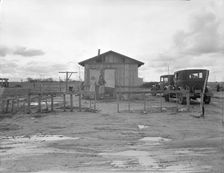 Shack in "Little Oklahoma", California, 1936. Creator: Dorothea Lange