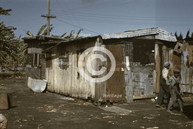 Shacks of Negro migratory workers, Belle Glade, Fla., 1941. Creator: Marion Post Wolcott.