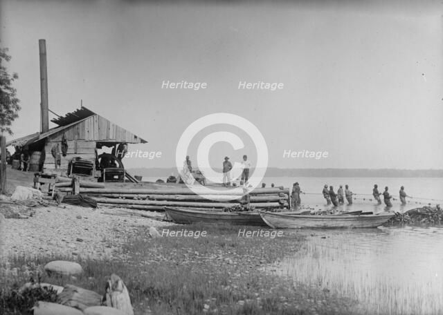 Shad fishing, between c1910 and c1915. Creator: Bain News Service.