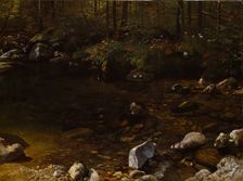 Shady Pool, White Mountains, New Hampshire, c. 1869. Creator: Albert Bierstadt