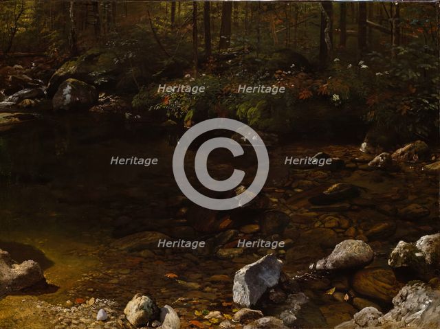 Shady Pool, White Mountains, New Hampshire, c. 1869. Creator: Albert Bierstadt.