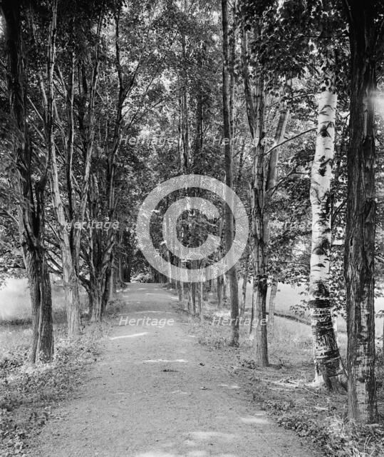 Shady path, Mount Holyoke College, South Hadley,Mass., c1908. Creator: William H. Jackson.