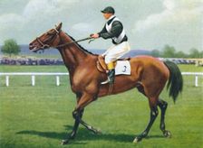 Shalfleet, Jockey: R. Perryman 1939